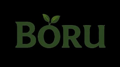 BORU